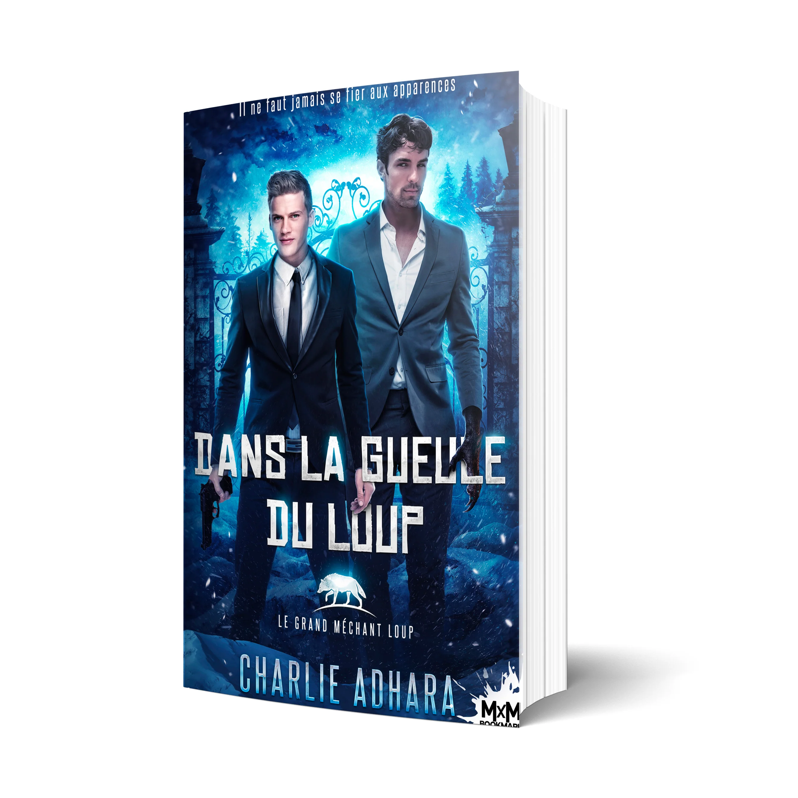 Image du produit 1