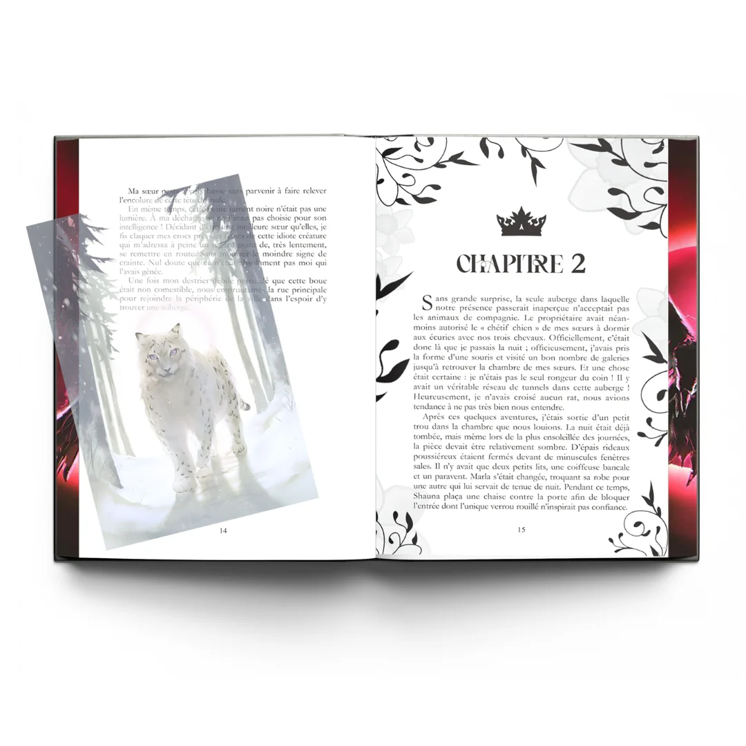 Image du produit 8
